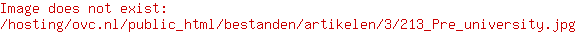 Hadassa Levy nu al essay op universiteit