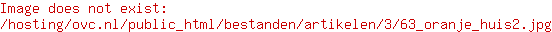 Uitdagingen YoungImpact.nl
